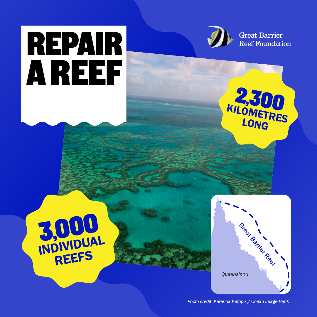 Repair a Reef Resource Pack