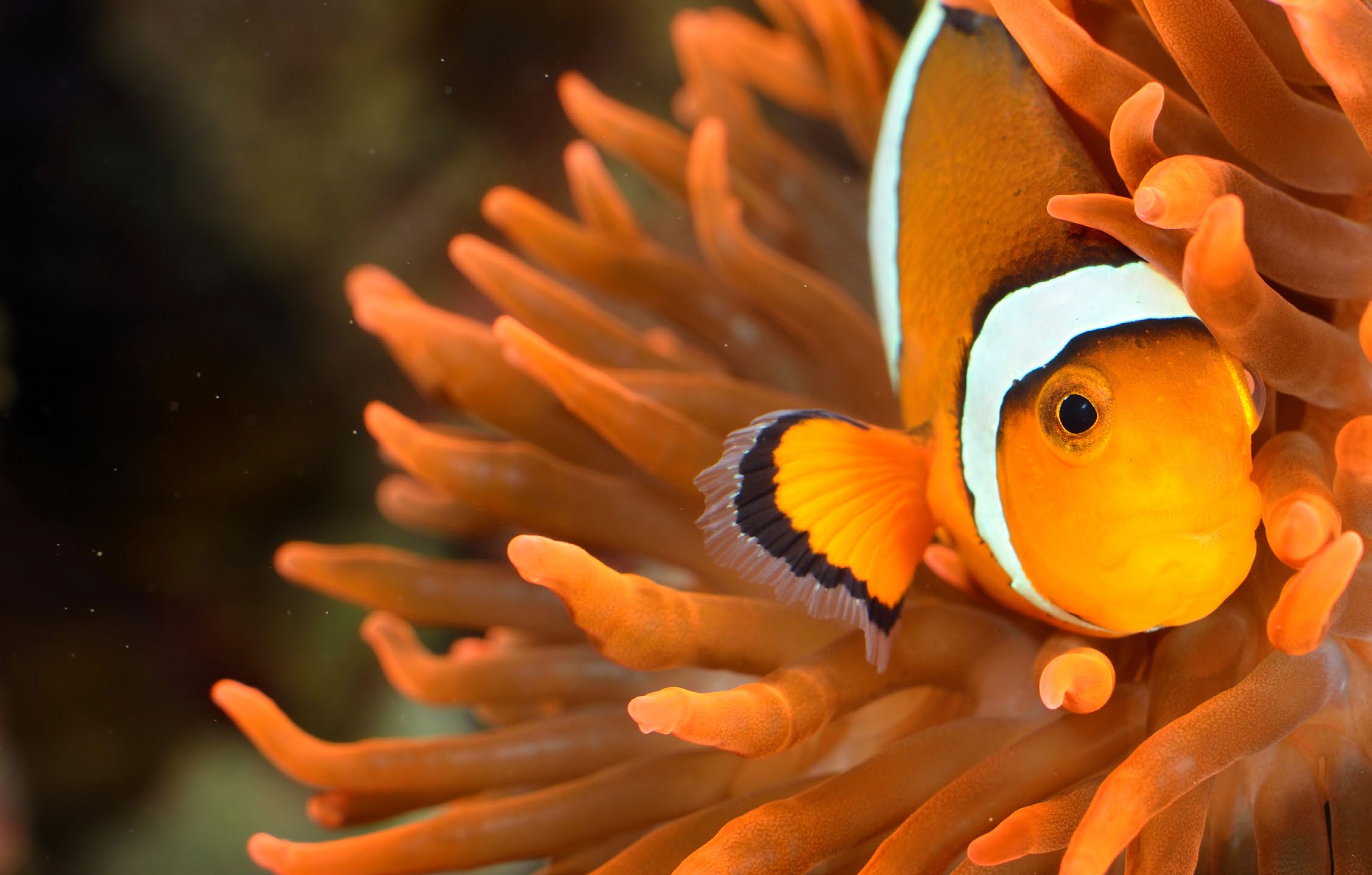 Workplace Giving Program Overview